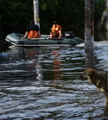 За ніч рівень води на Херсонщині зменшився на 64 см, – Прокудін