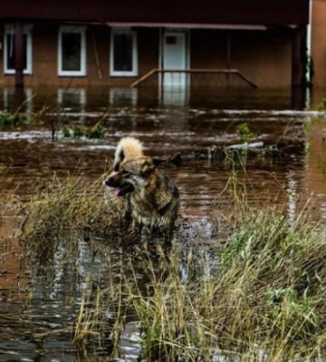 На Херсонщині вода продовжує спадати. Триває рятувальна операція