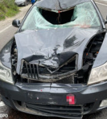 Під Броварами поліцейська насмерть збила військового військовослужбовця, ДБР розпочало розслідування