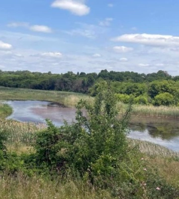 У Хорольскій громаді жінку знайшли мертвою у ставку