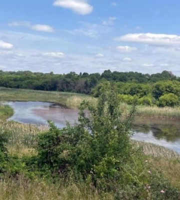 У Хорольскій громаді жінку знайшли мертвою у ставку