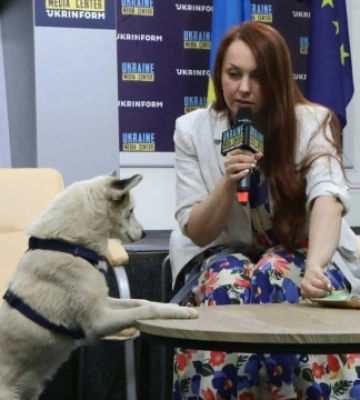 Налякані та у важкому стані: до Сновська, що на Чернігівщині, привезли 10 котів з Херсона