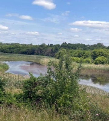 У Хорольскій громаді жінку знайшли мертвою у ставку