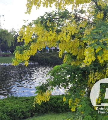 Коли у Дніпро повернеться літо. Прогноз синоптика