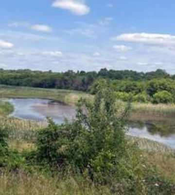 На Полтавщині у ставку виявили тіло жінки