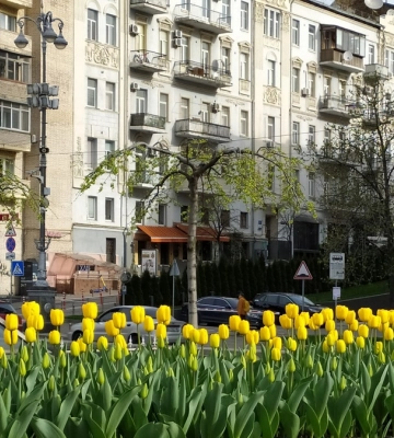 У Києві у 2023 р. висадили майже 3 тис. дерев, понад 23 тис. кущів і близько 2 млн квітів