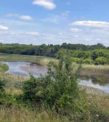 На Полтавщині у водоймі виявили тіло 69-річної жінки