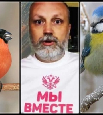 Как “русский снегирь” Рогов всех жителей Мелитополя в пушечное мясо записал