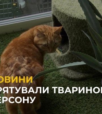 Команда Домівки врятованих тварин врятували тварин з Херсонщини