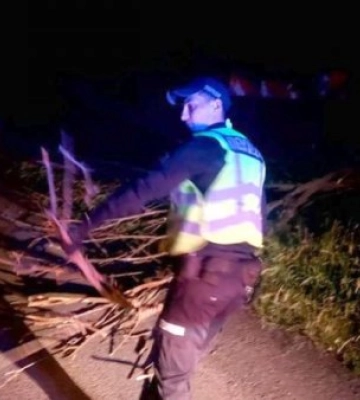 Патрульні розчистили небезпечну ділянку траси, де впало дерево
