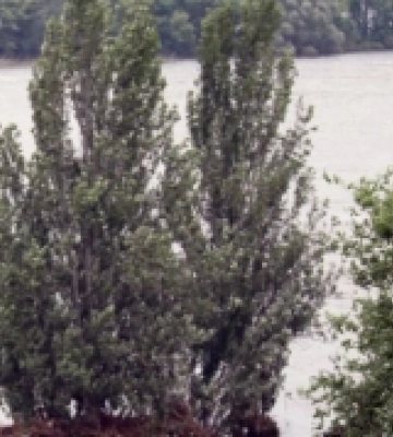 Від деяких сіл у Бериславському районі  відступила вода