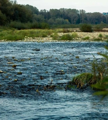 На Прикарпатті продовжує підійматися вода у річках