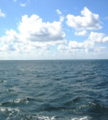 Экологи фиксируют стабилизацию по опреснению Черного моря, однако есть превышение взвешенных веществ - ОВА