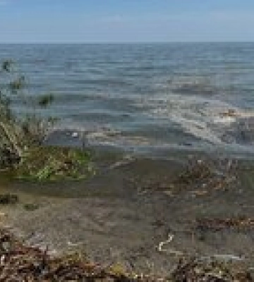 В Одессе обнаружили сальмонеллу и кишечную инфекцию в воде на городских пляжах – ОВА