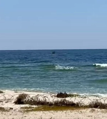 В акваторії Чорного моря в районі Одеси виявлено сальмонелу та кишкову інфекцію, - ОВА