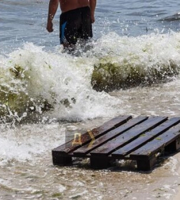 В Одесской области в морской воде обнаружили кишечную инфекцию и сальмонеллу