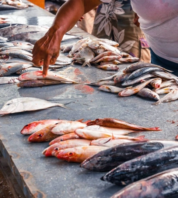 На Миколаївщині можуть заборонити вилов і продаж риби та морепродуктів