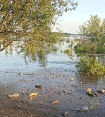 На Миколаївщині 2 400 гектарів лісів залишаються підтопленими