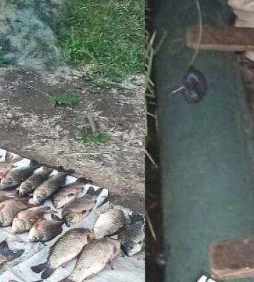 На Полтавщині двоє браконьєрів виловили риби на близько 130 тисяч гривень