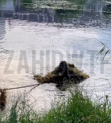 У Львові чоловік під дією наркотиків забіг в озеро і втопився