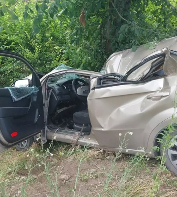 Під Дніпром автомобіль зіткнувся з деревом: є постраждалі