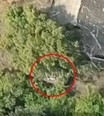 Бійці 12-го загону спецпризначення знищили ворожий танк та артустановку. ВIДЕО