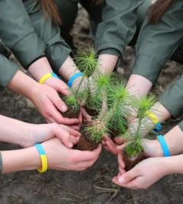 119 га земель передадуть під заліснення філіям громади Полтавщини