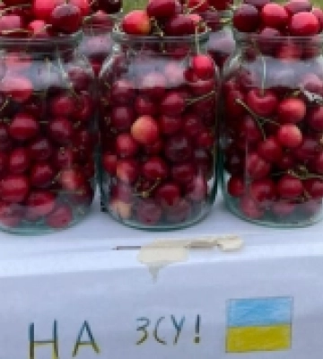Поблизу Луцька діти продають черешні, щоб зібрати гроші для ЗСУ