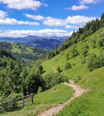 Где отдохнуть в Карпатах летом: 5 самых популярных мест