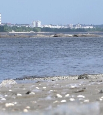 В Запорожье падает уровень кислорода в днепровской воде: чем это опасно