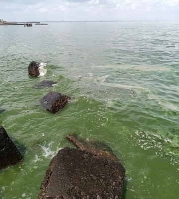 Одесситам запретили выходить на пляжи и купаться в море