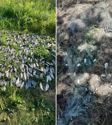 На Дніпропетровщині інспектори виявили 43 порушення у сфері охорони водних біоресурсів