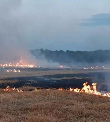 На Харківщині російські снаряди пошкодили залізничну зупинку і підпалили сухостій