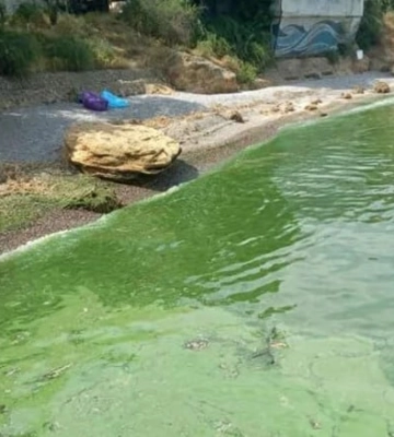 Воду у Дніпрі забруднено у 28 тис. разів більше за норму: у МОЗ розповіли про наслідки підриву Каховської ГЕС