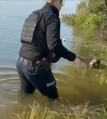 Поліцейський показав порятунок собаки із водяної пастки на Херсонщині (відео)