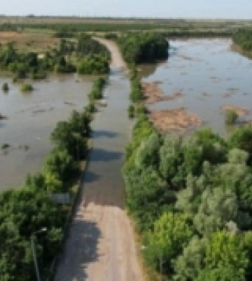 Підрив Каховської ГЕС: майже 55 тисяч гектарів лісів може бути затоплено водою на Херсонщині