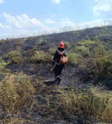 Протягом доби підрозділи Головного управління ДСНС України у Миколаївській області загасили 7 пожеж