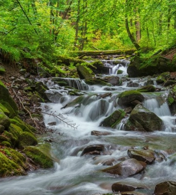 В горах на Закарпатті заблукали троє туристів