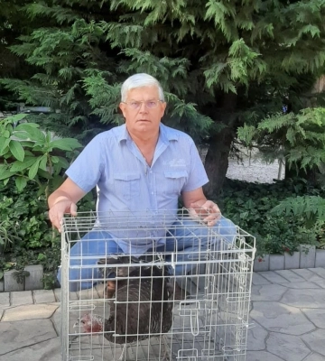Тритони, ондатри, єноти та олень: як живуть тварини з Херсонщини в Одеському зоопарку
