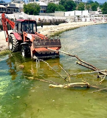 В Одесі категорично заборонили купатися в морі – знайшли холероподібний вібріон, гельмінти та ротавірус