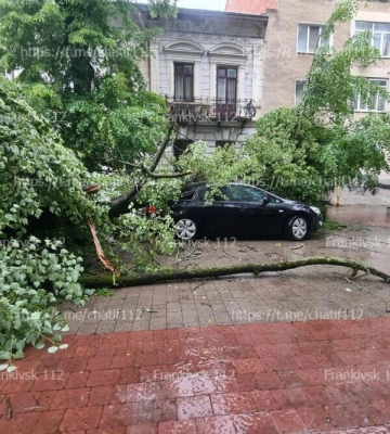 На вулиці Шевченка в Івано-Франківську дерево впало на припарковані авто