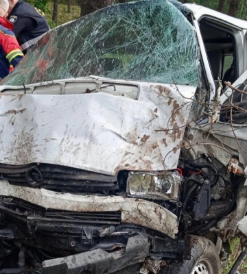 На Волині - страшна ДТП: від перевтоми водій заснув за кермом і злетів у кювет