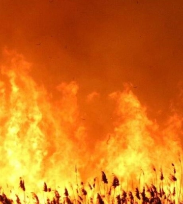 На Одещині оголосили надзвичайну пожежну небезпеку