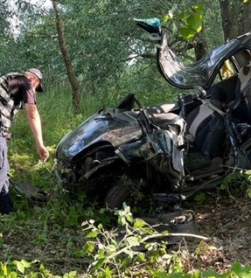 На Київщині Cherry в&#039;їхала у дерево - водійка загинула, четверо дітей травмовані