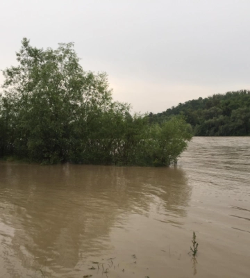 У річці Прут через тривалі зливи піднімається рівень води 