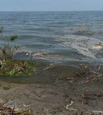 На Одещині заборонили купатися та ловити рибу: у воді багато патогенів