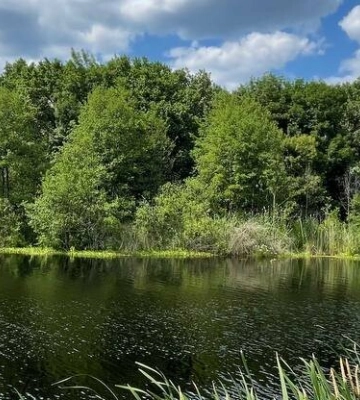 У неділю повітря на Полтавщині прогріється до +30