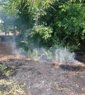 У Криворізькому районі загасили пожежу в екосистемі