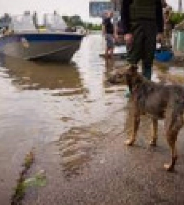 На Херсонщині підтоплено 23 населених пункти, рівень води знизився на 11 см