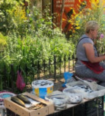 В Одесі заборонили продаж риби і морепродуктів з невстановлених місць вилову